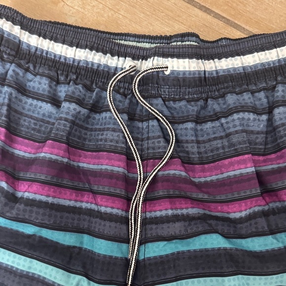 Speedo Men's Striped Swim Trunks M / D1 - Picture 3 of 5